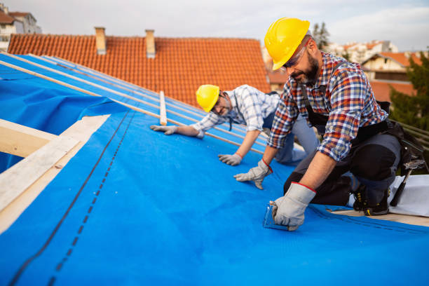 Best Storm Damage Roof Repair  in Kapaau, HI