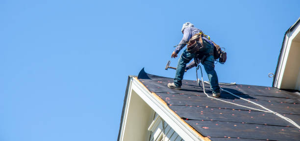 Best Flat Roof Repair Services  in Kapaau, HI